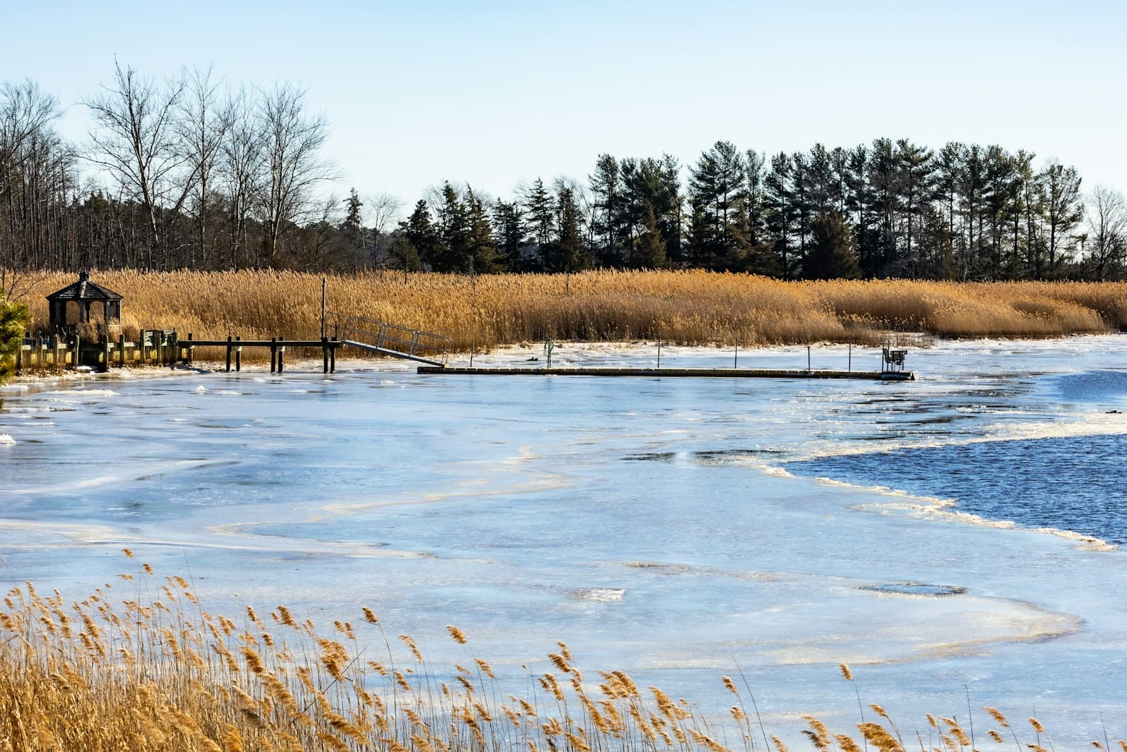 Winter lake scene with partially frozen water, golden reeds, bare trees, and wooden dock under cloudy sky