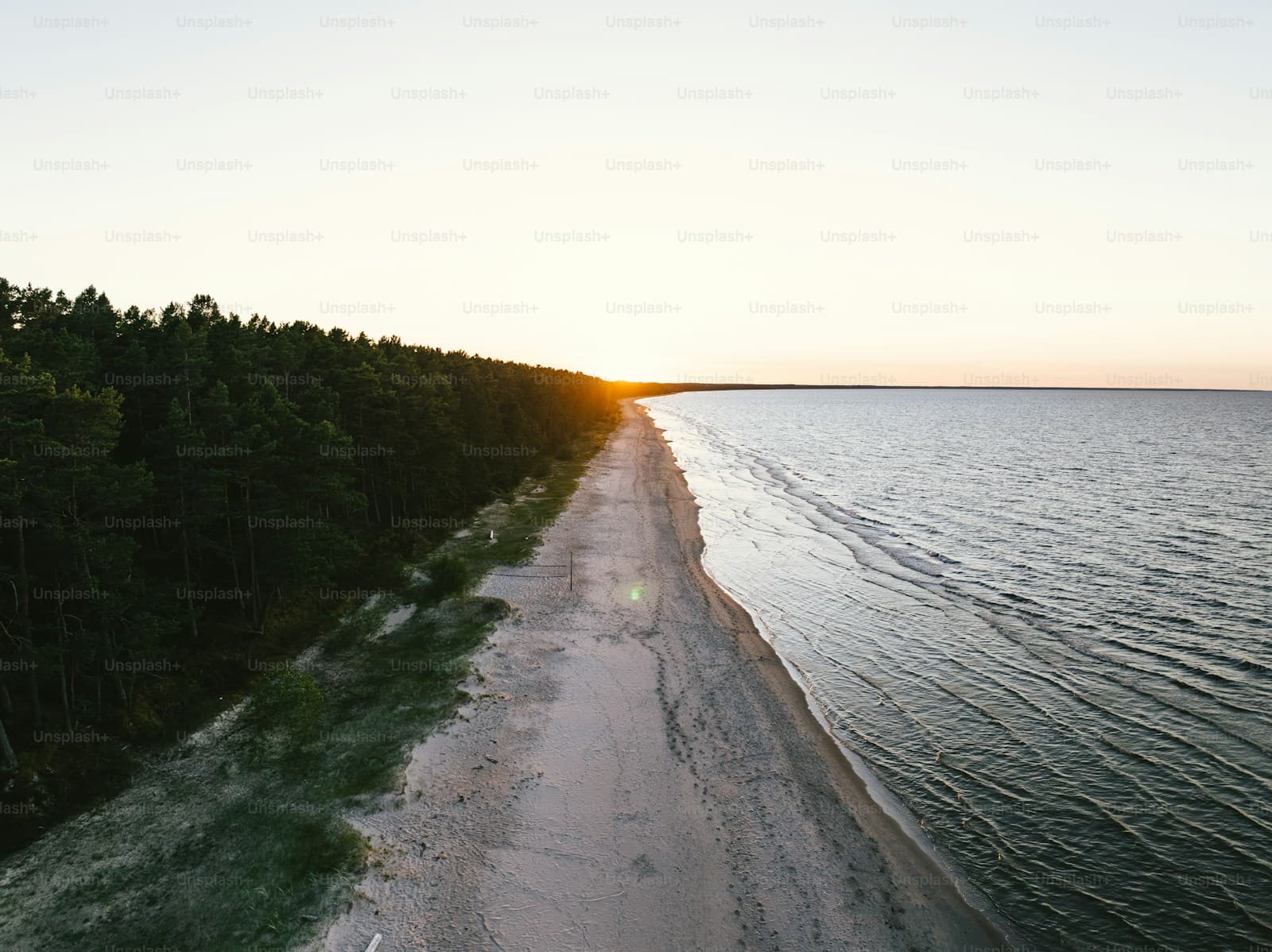 Aerial view of sandy beach at sunset with forest on one side and ocean on the other
