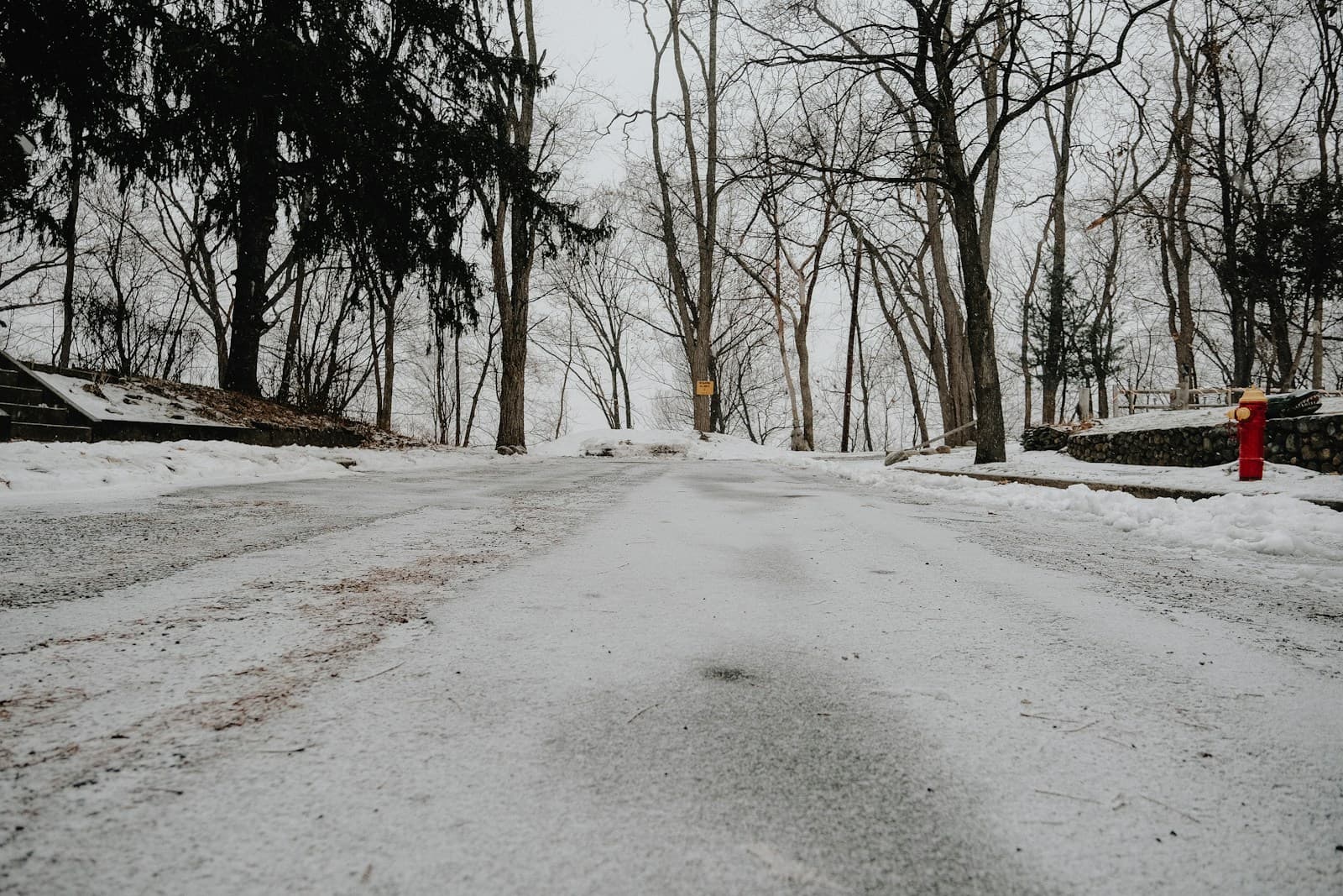 Snow-covered winter road lined with bare trees under overcast sky