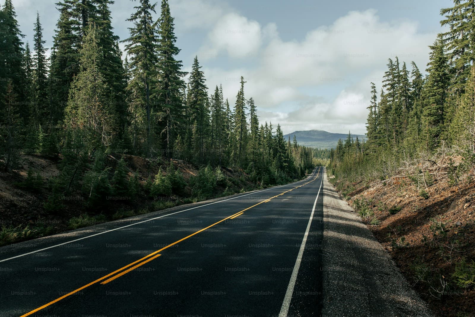 Straight highway road through dense evergreen forest with mountains in distance under cloudy sky