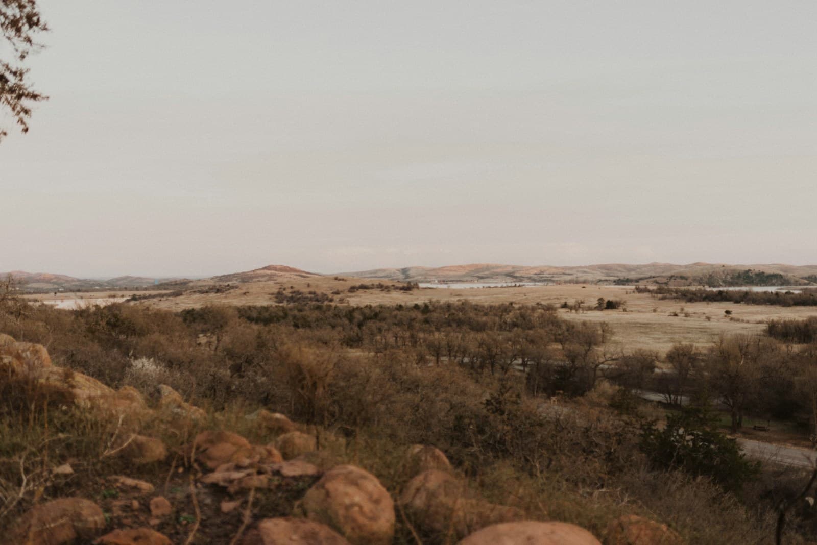 Desert landscape with rocky foreground, sparse vegetation, and rolling hills under cloudy sky