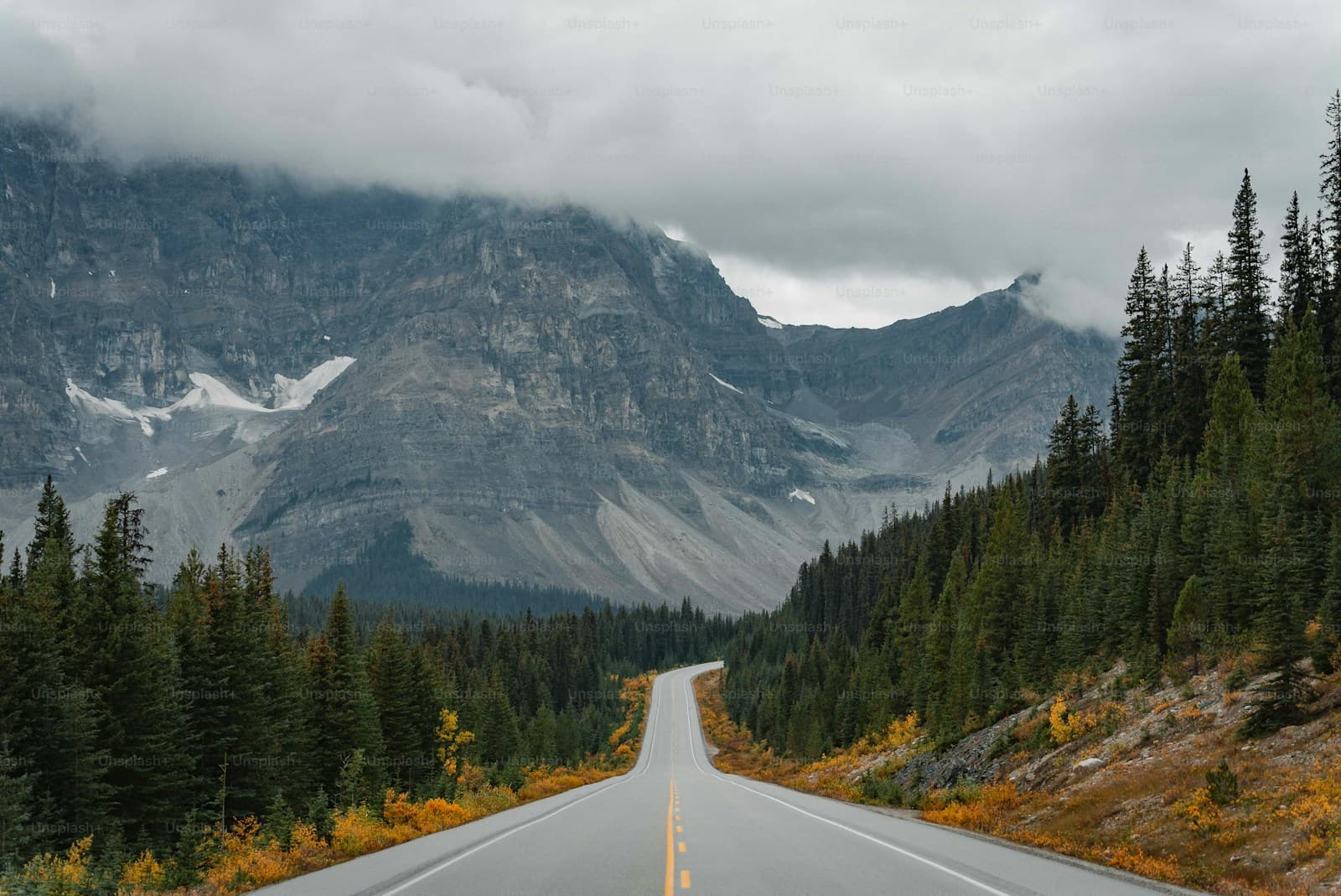 Straight road leading toward snow-capped mountains past evergreens and autumn color
