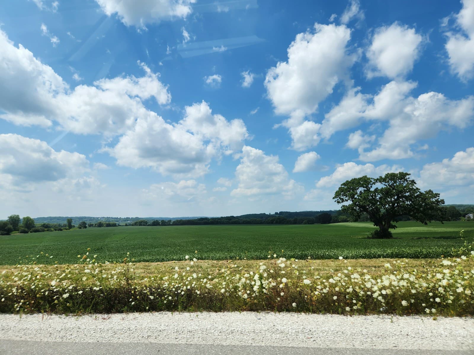 Rural countryside landscape with green fields, blue sky with white clouds, and a lone tree in the distance