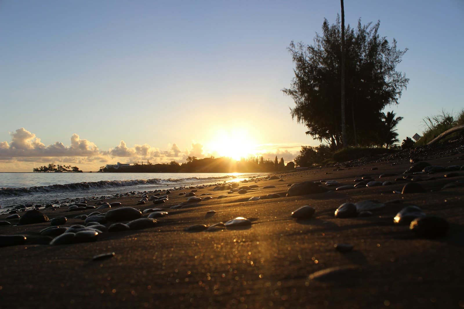 Sunset on tropical beach with pebbles, tree silhouette, and golden light reflecting on wet sand