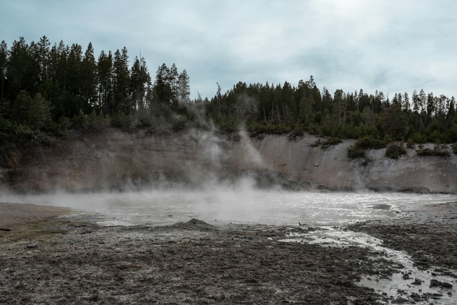 Steam rising from geothermal ground with evergreen forest and cloudy sky in background