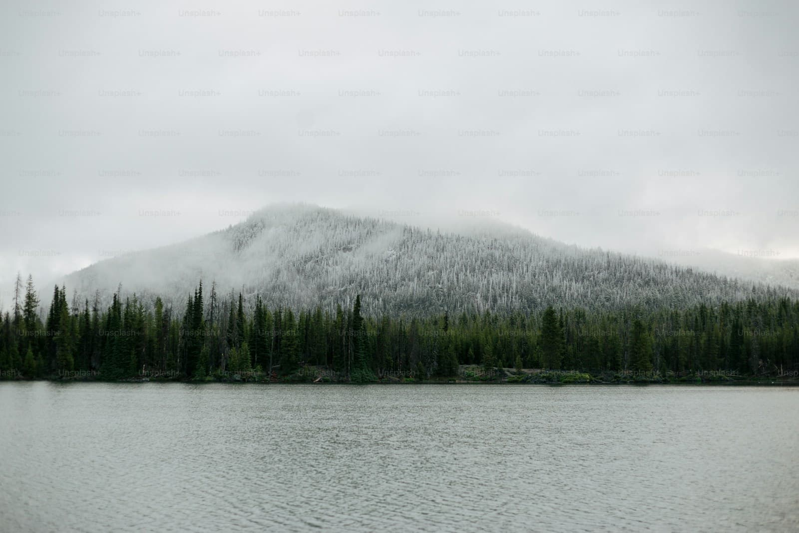 Misty mountain with evergreen forest reflected in calm lake under overcast sky