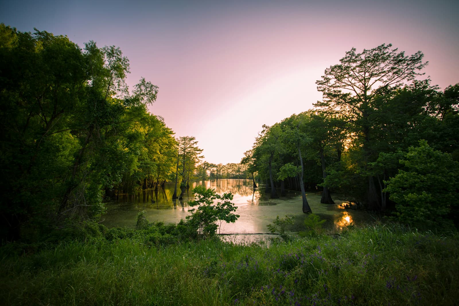 Peaceful river scene at sunset with pink sky and green trees reflected in calm water