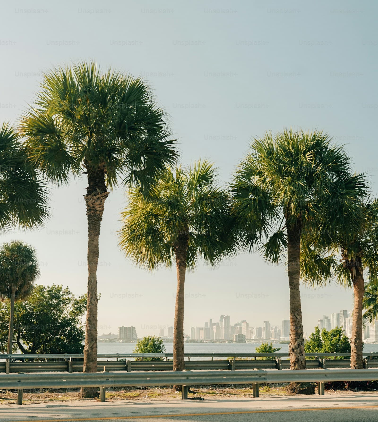 Hialeah, Florida cityscape and street view