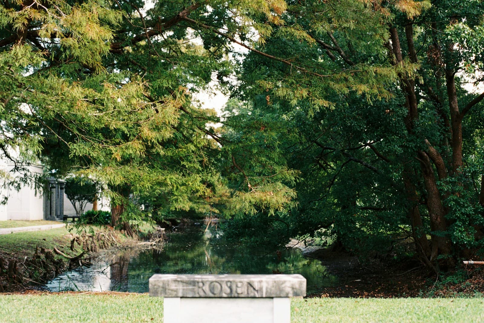 Stone memorial bench in peaceful park setting surrounded by green trees and grass