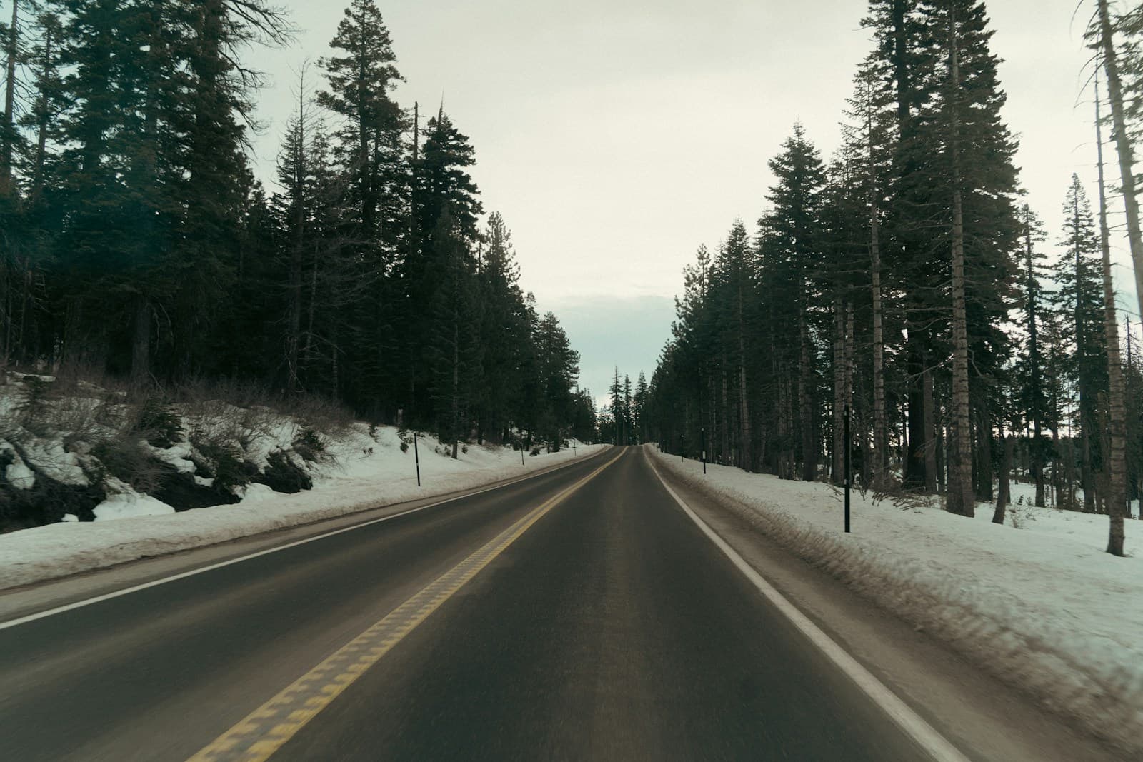 Snow-covered winter highway with evergreen trees lining both sides of the clear asphalt road