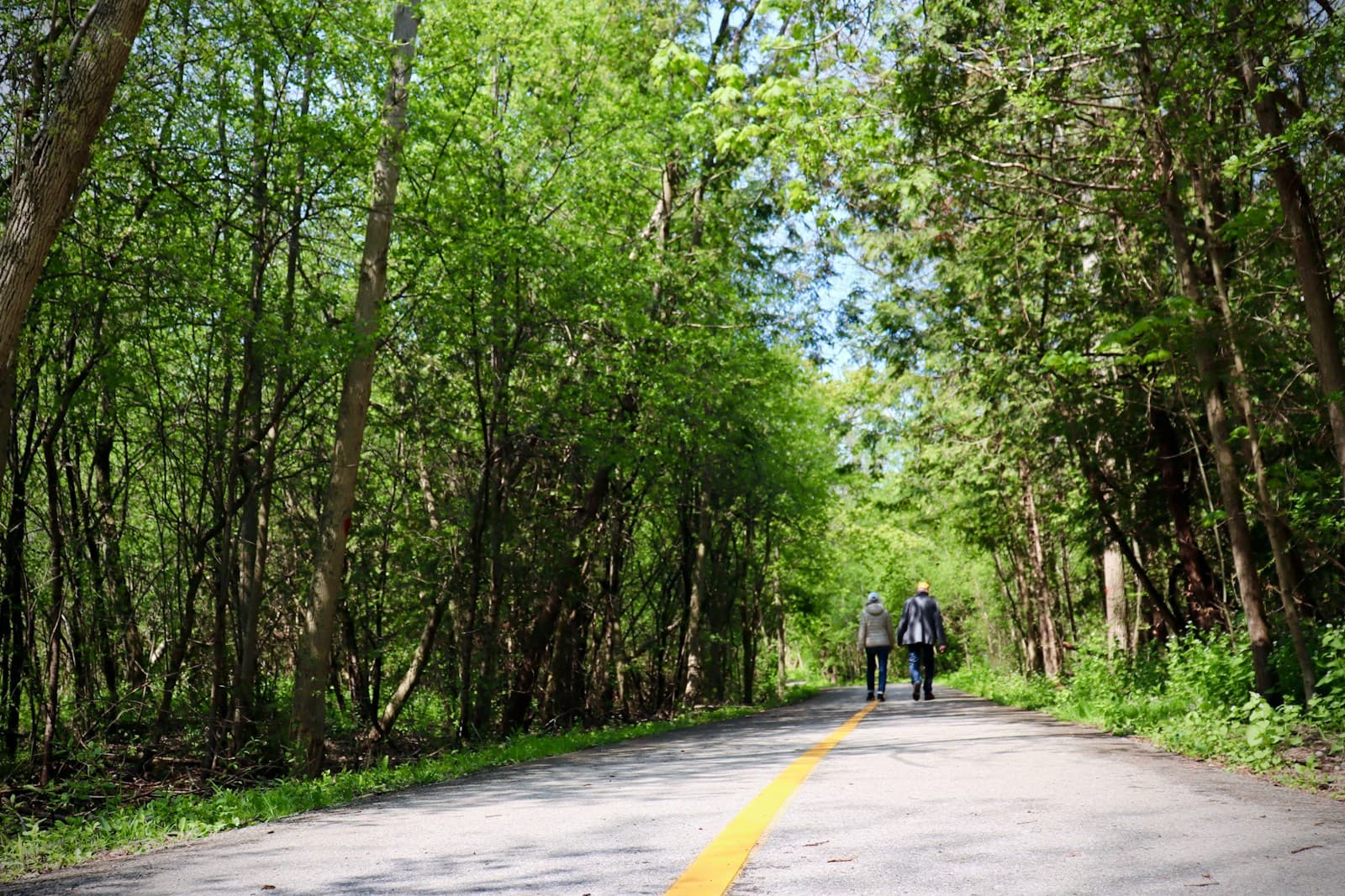 Two people walking on a tree-lined paved road with yellow center line surrounded by lush green forest