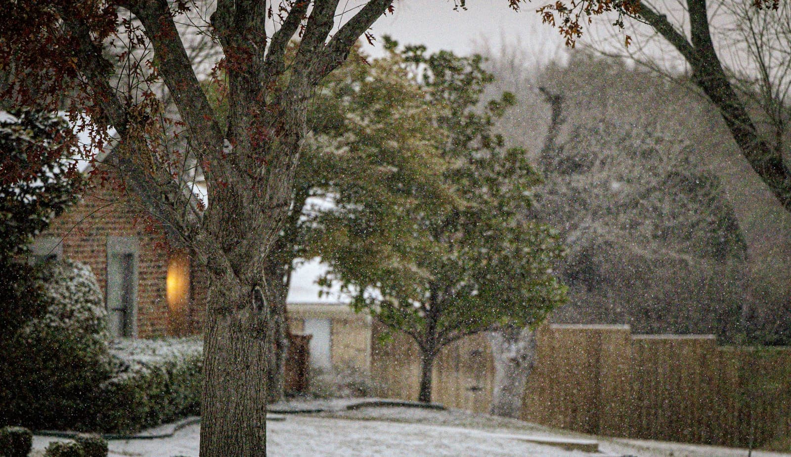Garland, Texas cityscape and street view