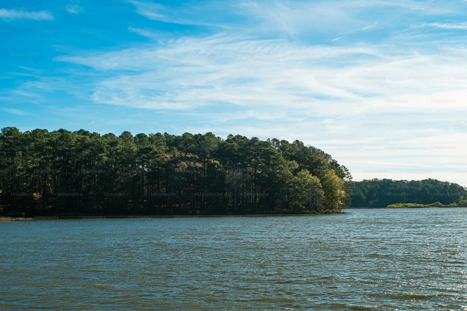 Forested peninsula extending into calm lake water under blue sky with white clouds