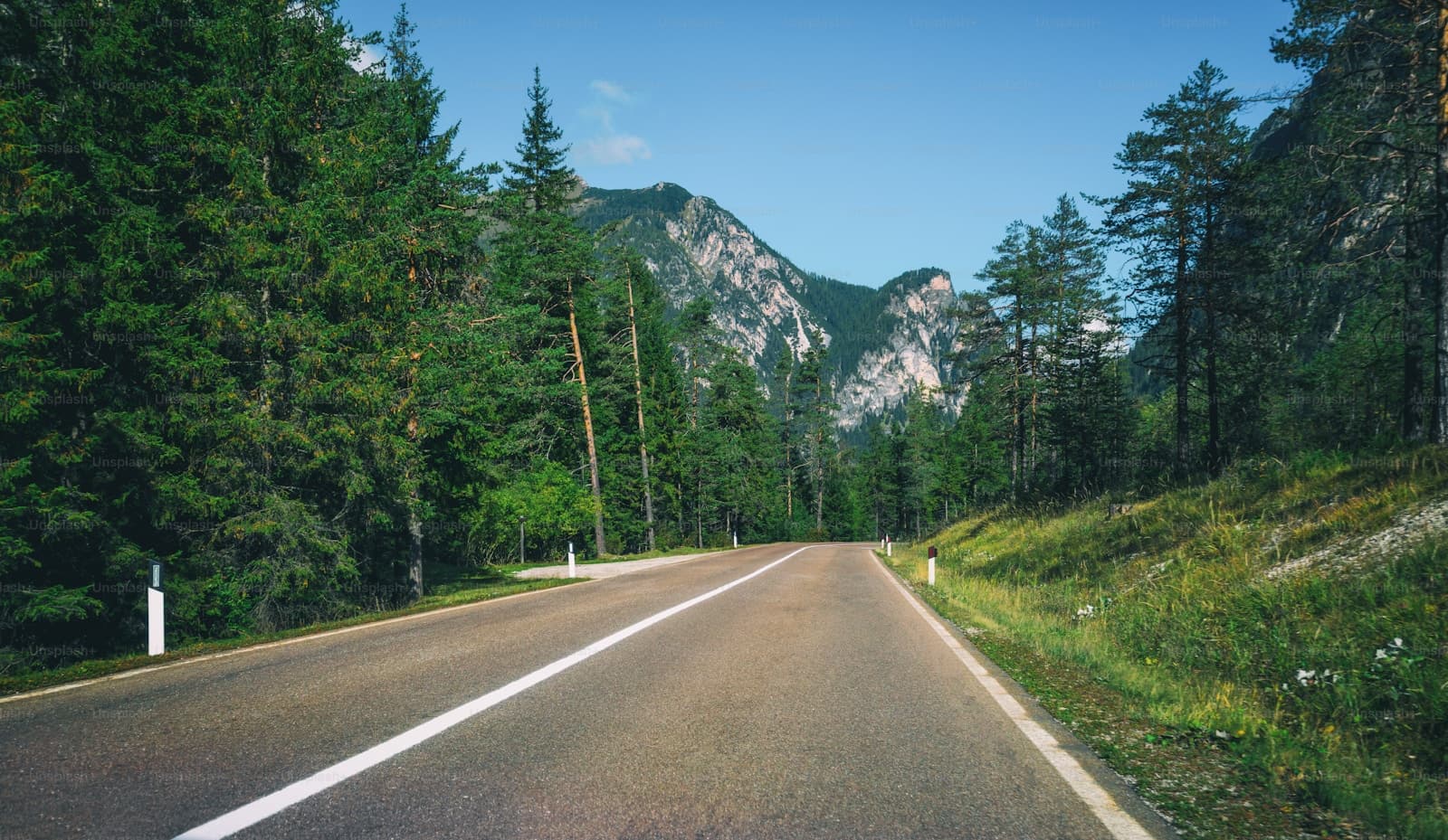 Paved road running through evergreen forest toward rocky mountains