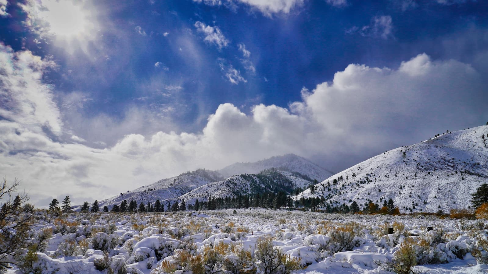 Snow-covered mountain landscape with blue sky, white clouds, and winter field with sagebrush and evergreen trees