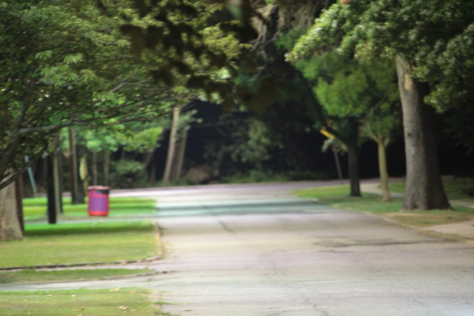 Tree-lined residential street with green foliage and a red post or mailbox visible on the sidewalk