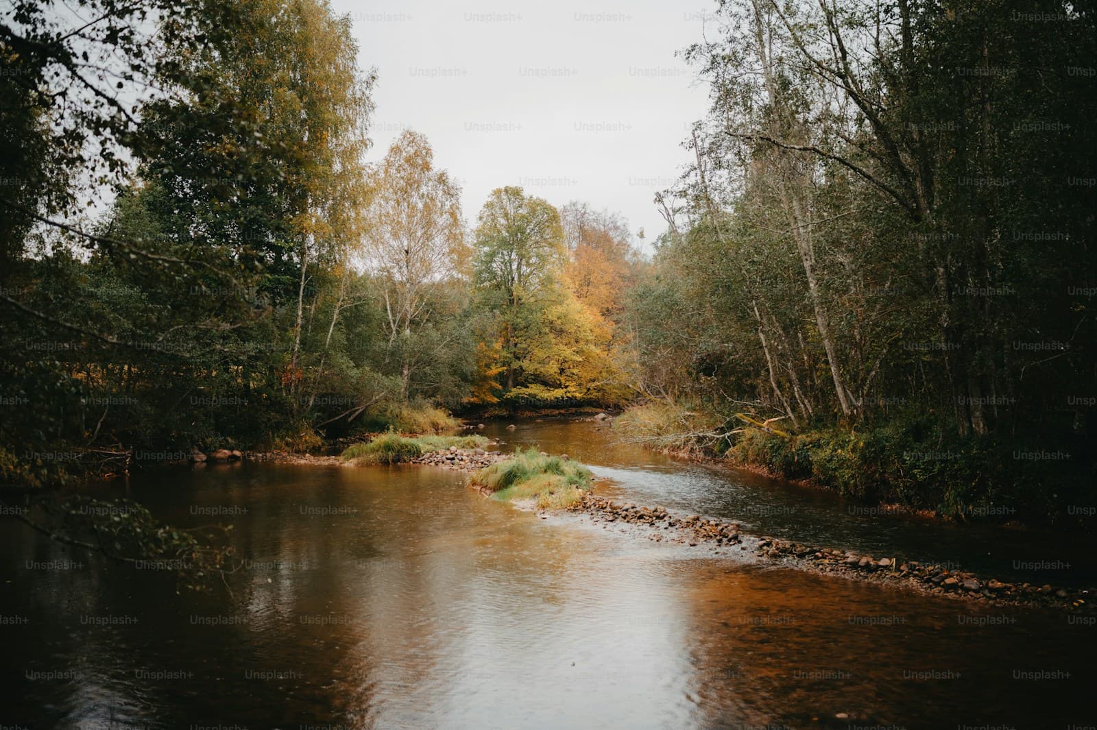 Peaceful autumn stream flowing through forest with colorful fall foliage and overcast sky reflection