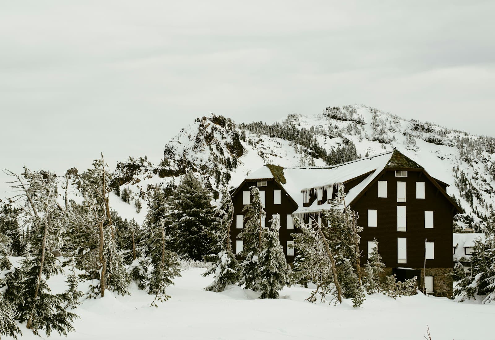 Modern wooden chalets in snowy mountain landscape with evergreen trees and rocky peaks