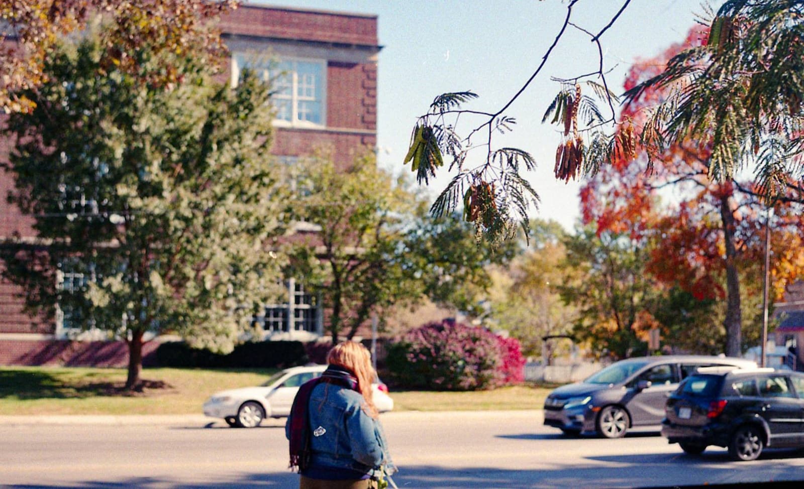 Person with backpack walking on tree-lined campus street with brick buildings and fall foliage