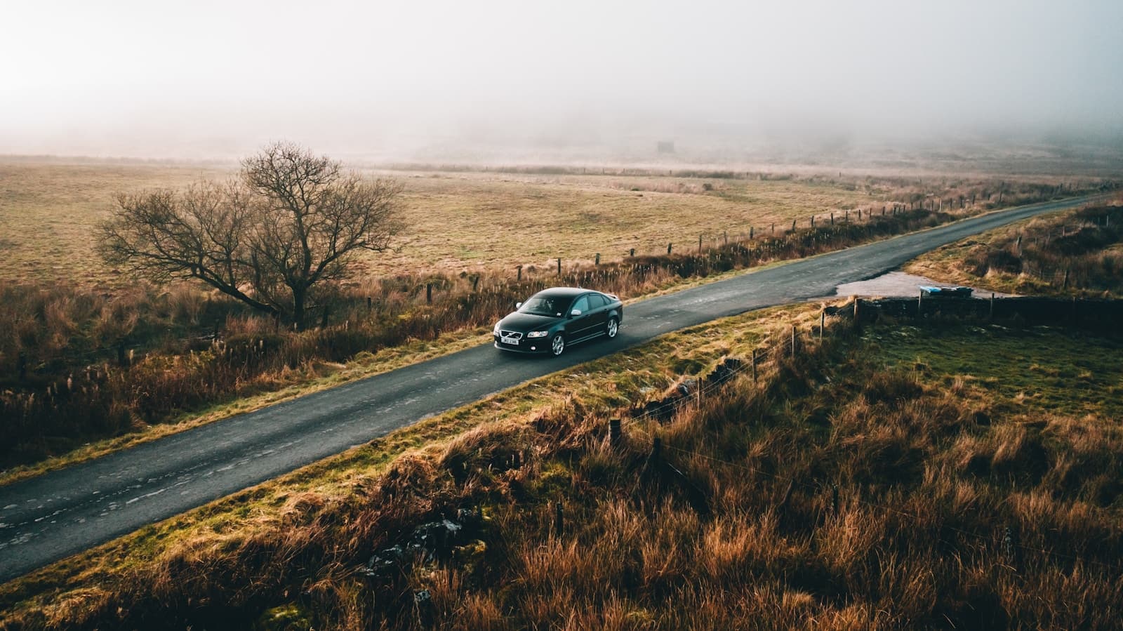 Car driving on rural road through golden moorland with bare tree and stone walls under overcast sky