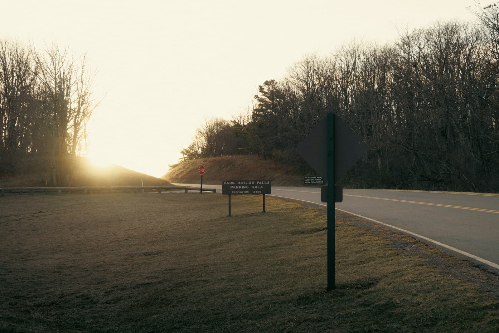 Rural highway at sunset with bare trees lining the road and a sign at the shoulder