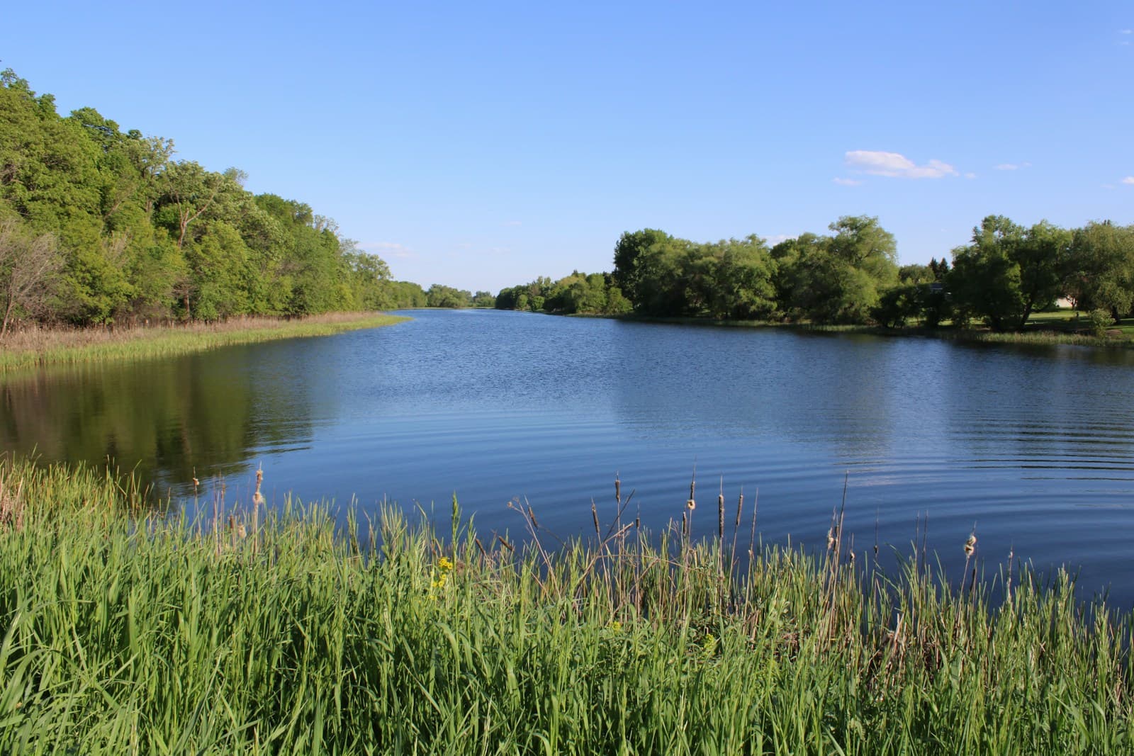 Peaceful river with green vegetation and trees reflected in calm water under blue sky